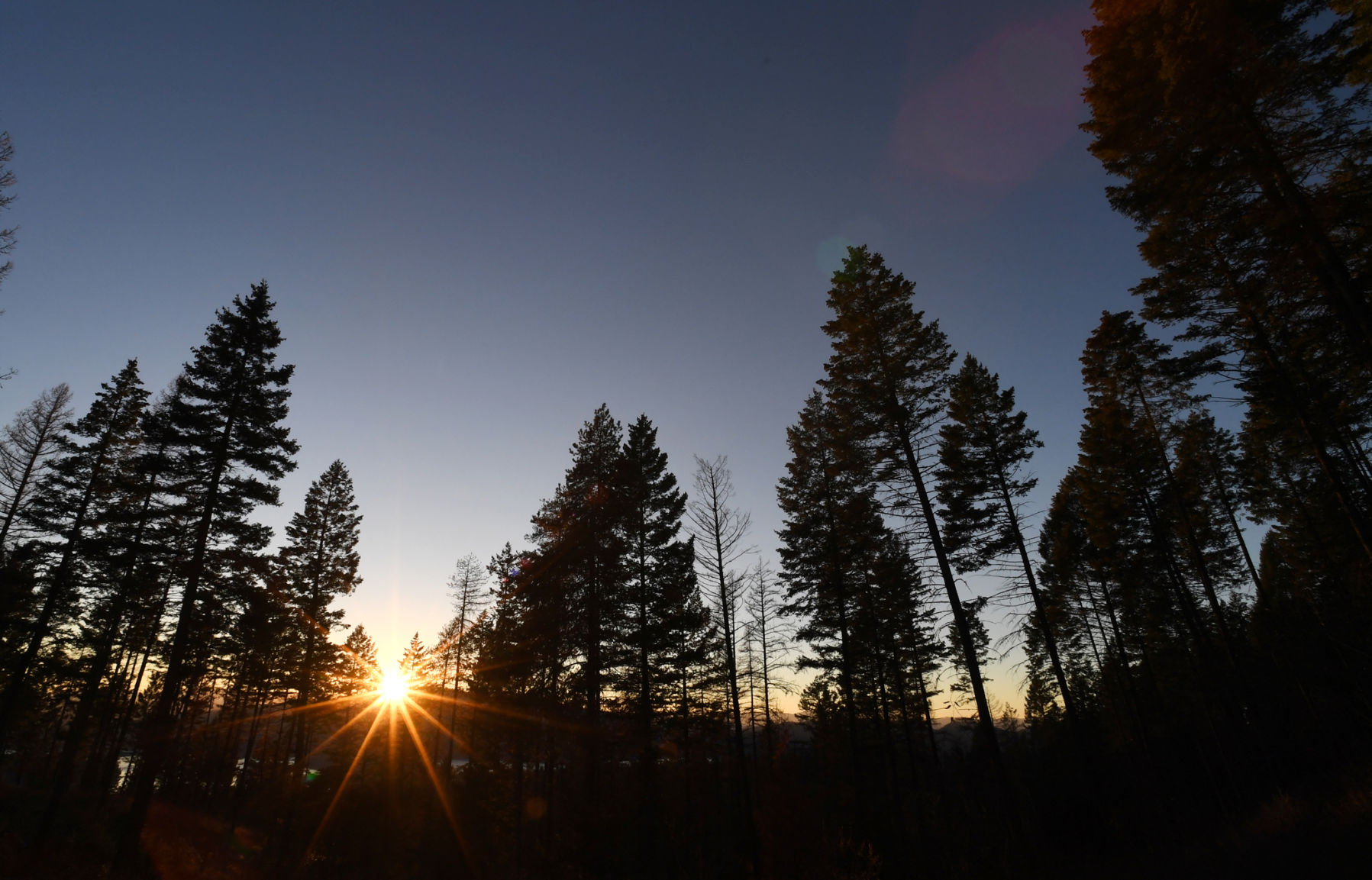The Stillwater State Forest north of Whitefish